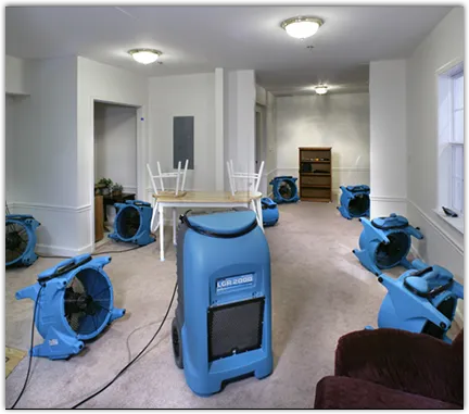 Mold Remediation & Removal in Sodus, NY