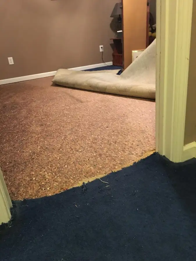 Carpet pad removal revealing water damage during Water Mitigation Services in Sodus