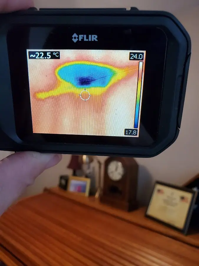 Thermal imaging inspection for water damage in Sodus